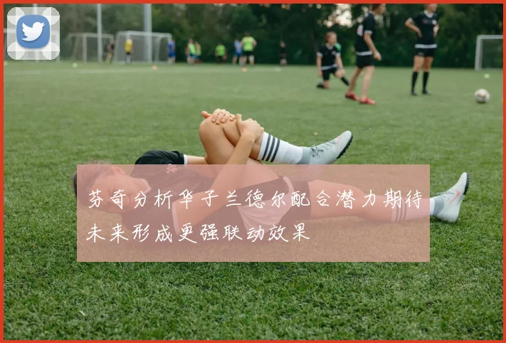 芬奇分析华子兰德尔配合潜力期待未来形成更强联动效果